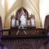 unnamed (7)